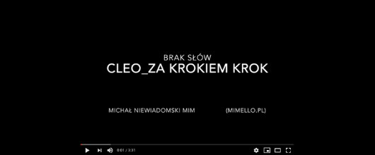 INTERPRETACJA PIOSENKI CLEO "ZA KROKIEM KROK" - MICHAŁ NIEWIADOMSKI MIM